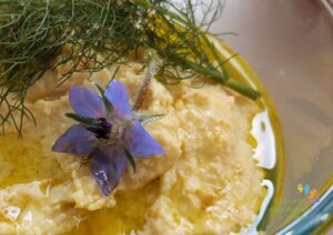 Schüssel mit Hummus und Dill und Borretsch-Dekoration